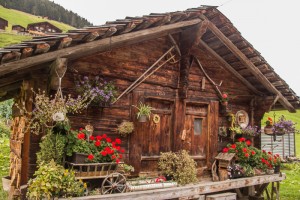 We walked through the little village of Gimmelwald and enjoyed seeing the unusual buildings there.