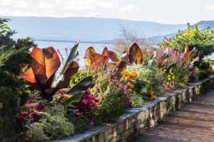 Flower beds along the waterfront of Lake Geneva in Montreux