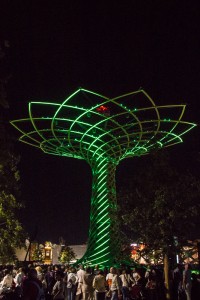The Tree of Life is the iconic image of the 2015 World's Fair in Milan. The tree is beautiful, constantly changing colors.