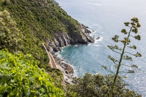 View down to the railroad tracks from the hiking trail between Vernazza and Corniglia.